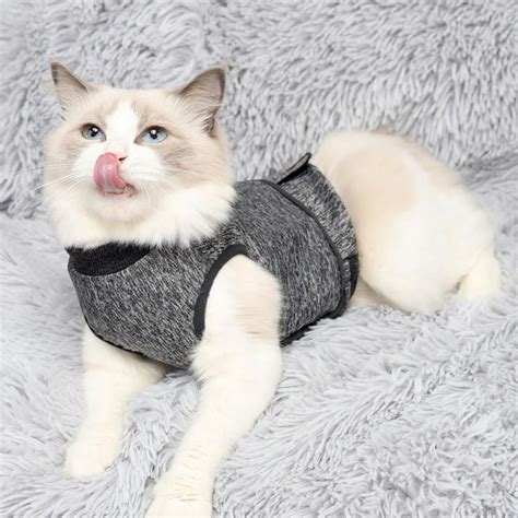 Thundershirts for Cats: A Calming Solution for Anxious Felines