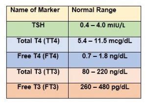 Thyroid Levels Tsh Levels Chart