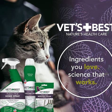 Tick Medicine for Cats: The Ultimate Guide to Protecting Your Feline Friends