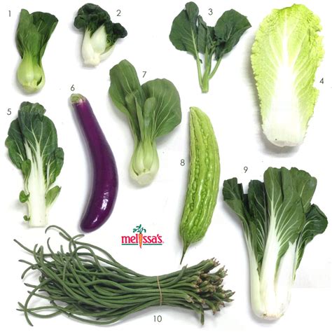 Tiffany Gotyams: A Comprehensive Guide to the Asian Vegetable