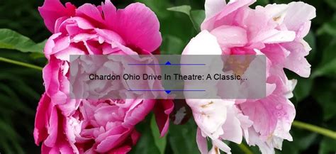 Tiffin Ohio Drive-In: A Nostalgic Cinematic Experience in the Heart of Ohio