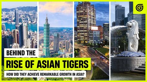 Tiger Asian: Unleashing the Potential of Asian-Led Innovation