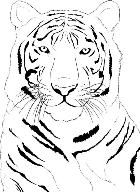 Tiger Coloring Pages Free Printable