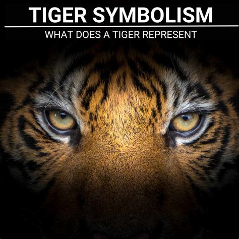 Tiger Eye Symbolism: Unraveling Power and Protection in 2025