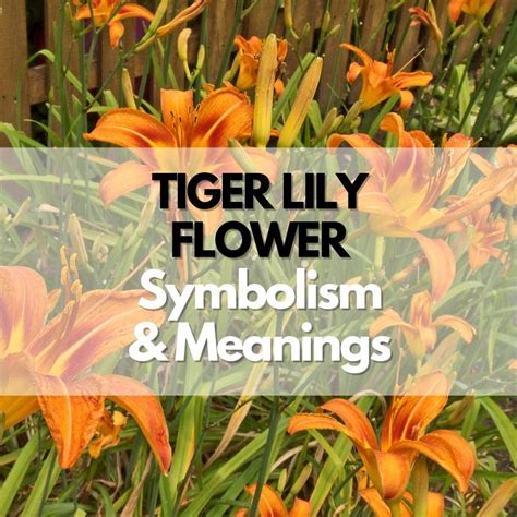 Tiger Lily Tattoos: Unveiling Symbolism and Meaning