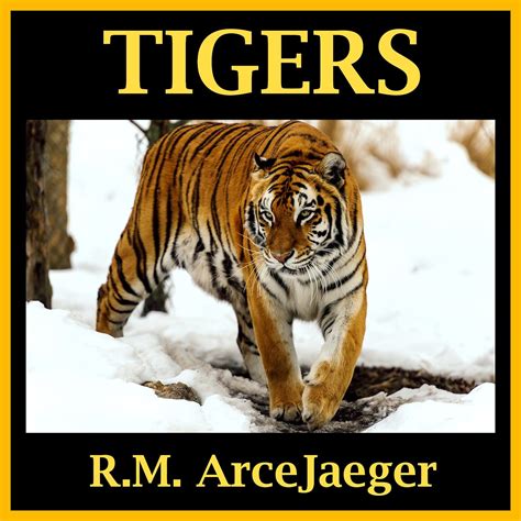 Tigers A Picture Book of Amazing Nature Facts for Kids Astounding Animals 3