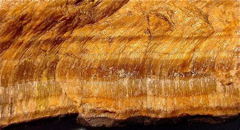 Tigers Eye Asbestos: A Comprehensive Exploration