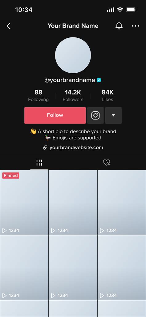 Tiktok Profile Template
