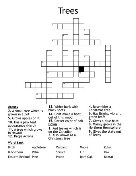 Timber Tree Crossword Clue