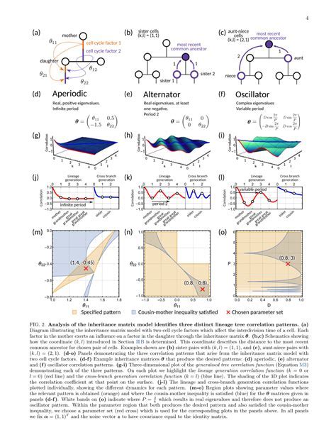 Time-Correlations Reveal the Sequence of Events