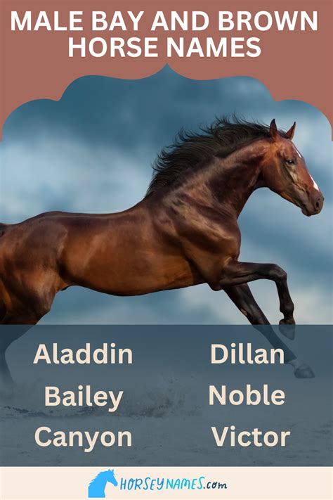 Timeless Traditions: Classic Brown Horse Names