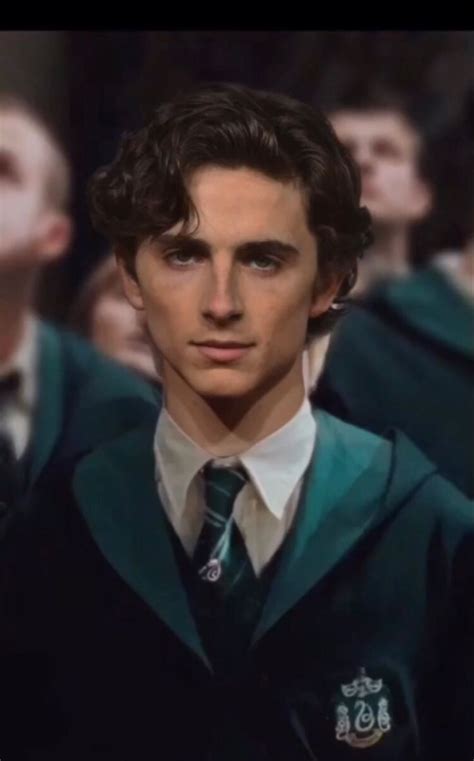 Timothée Chalamet's Magical Journey in the Harry Potter Universe: A Cosmic Alignment