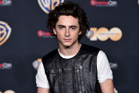 Timothée Chalamet: A Rising Star with a Singular Style