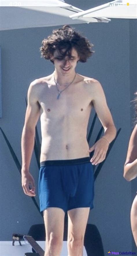 Timothée Chalamet Nude Leaks: A Comprehensive Analysis