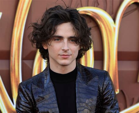 Timothée Chalamet's Middle Part: An Exploration of Style and Cultural Impact