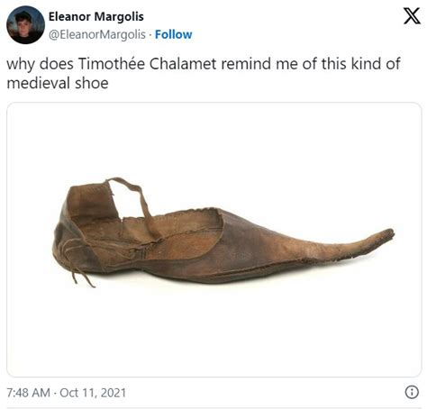 Timothee Chalamet's Medieval Shoe: An Ode to Style and History