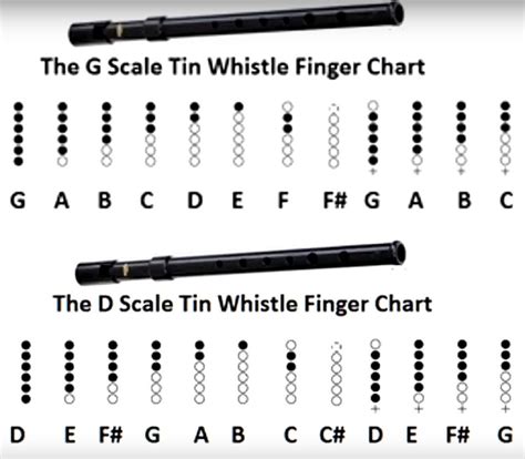Tin Whistle Finger Chart