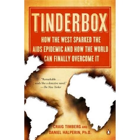 Tinderbox How the West Sparked the AIDS Epidemic and How the World Can Finally Overcome It Kindle Editon