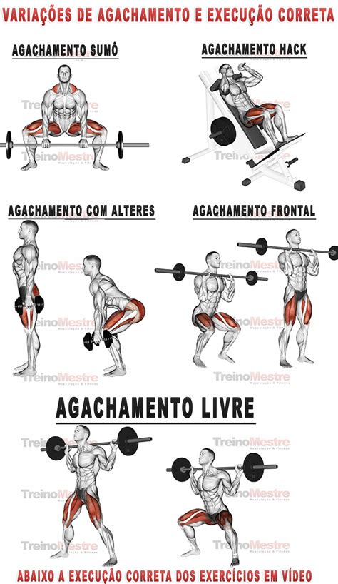 Tipos de Barras para Agachamento