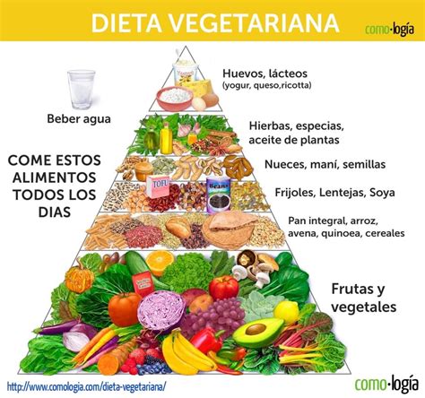 Tipos de Dietas Vegetarianas