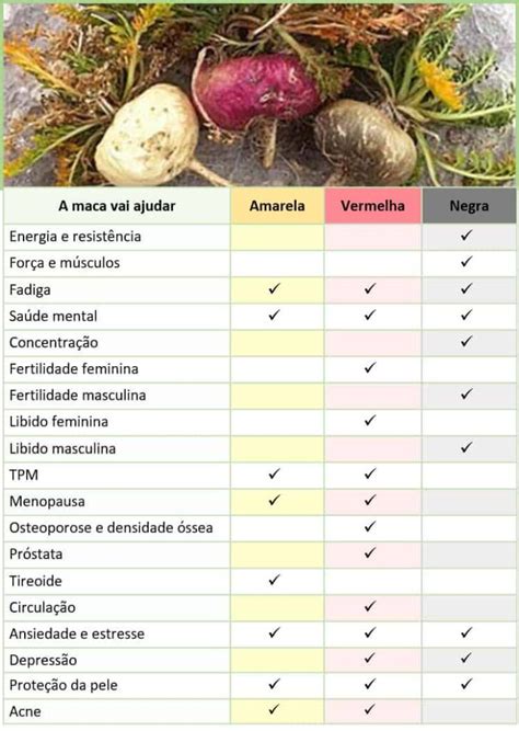 Tipos de Maca Peruana