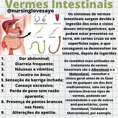 Tipos de Vermes Intestinais