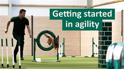 Tips and Tricks for Cultivating Agility: