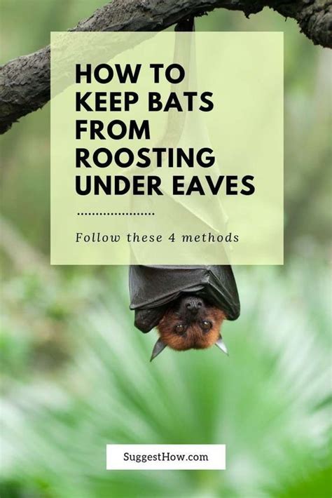 Tips and Tricks for Getting More Bats