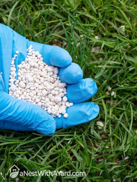 Tips and Tricks for Granulated Fertilizer Use