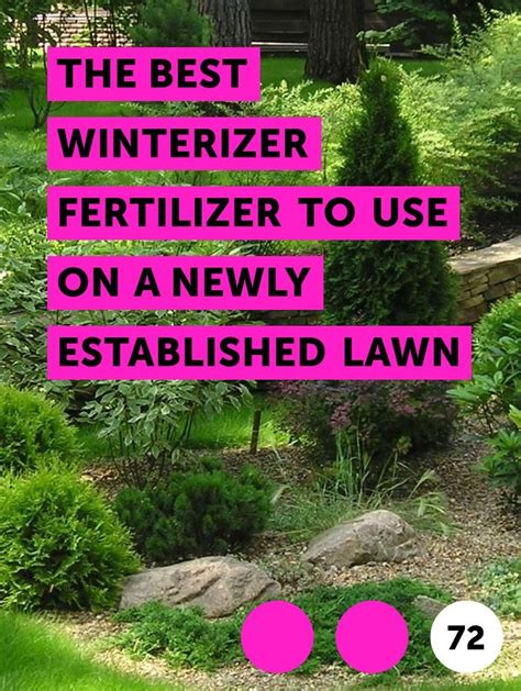 Tips for Using Winterizer Fertilizer