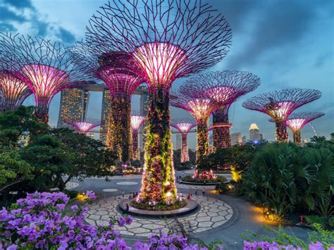 Tips for Visiting Gardens by the Bay