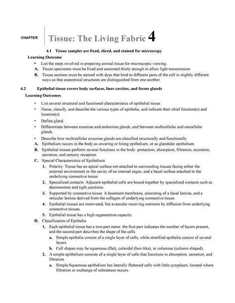 Tissue The Living Fabric Answers PDF