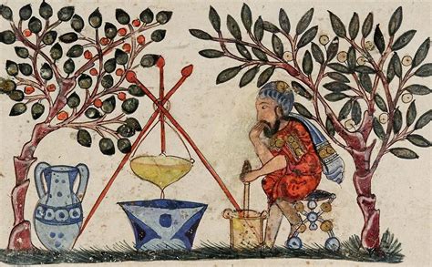 Titylokz: A Guide to the Ancient Art of Herbalism