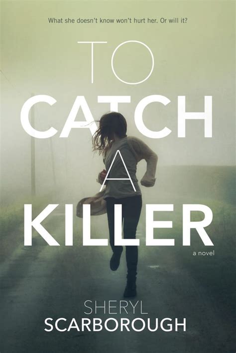 To Catch a Killer A Novel Erin Blake Reader