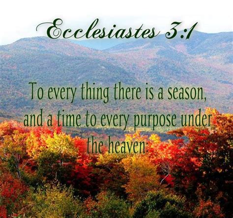 To Everything There is a Season Epub