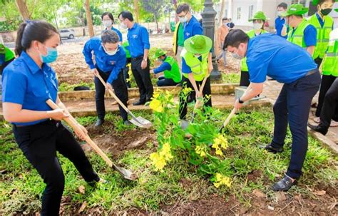 Toa Bét Thụ Hà Nội: Sống Động Lực, Nâng Tầm Môi Trường