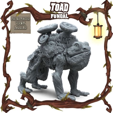 Toad Co.: The Epitome of Fungal Excellence