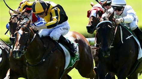 Today's Melbourne Races Results: A Comprehensive Guide