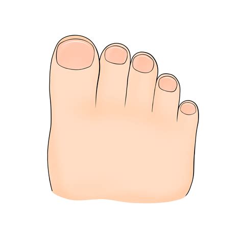 Toes: