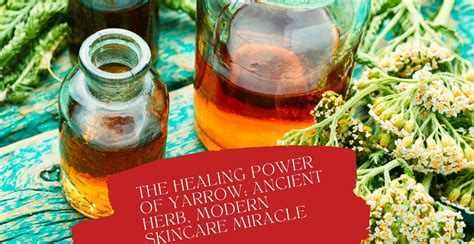 Toh Qing Huang: Unveiling the Healing Power of an Ancient Herb