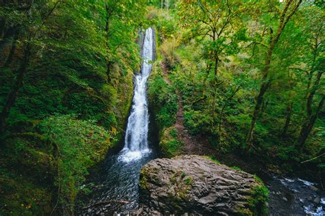 Tohjo Falls: A Majestic Cascade Veiled in Enchantment