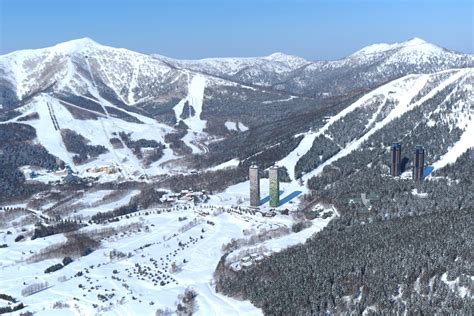 Tomamu 滑雪場: 日本北海道的冬季仙境