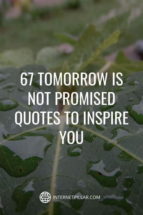 Tomorrow is Not Promised: 15 Quotes to Inspire You to Live Today