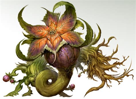 Tonberry: The Deadly Plant Monster with a Deadly Plant Attack