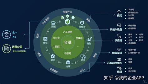 Toncoin最新消息：革新的区块链平台持续发展