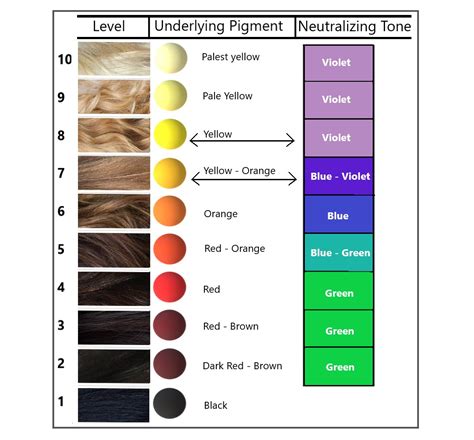Toner Hair Chart