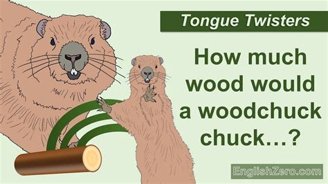 Tongue Twisters: How Much Wood Would a Woodchuck Chuck? Improving Your Eloquence and Diction