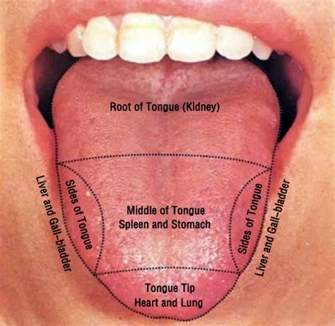 Tongues Interpretation & Prophecy PDF