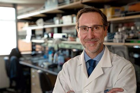 Toni Ribas: A Pioneer in Cancer Immunotherapy