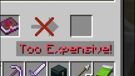 Too Expensive Minecraft: Unveiling the Costly Reality of a Gaming Phenomenon